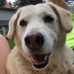 Dudley - @dudley_jasper_dickerson - Instagram