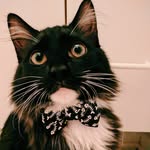 Jasper Ferguson Jakeway-Hall - @jasper.ferguson - Instagram