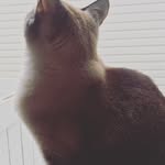 Jasper Fleming - @jasper_photographs - Instagram