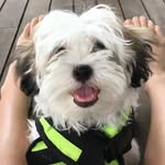 Jasper Fleming - @jasperflemingg - Instagram