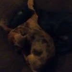 @jasper_freeman1234 - Instagram
