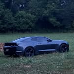 Jasper Freeman - @jasper_freeman678 - Instagram