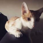 Jasper Gonzalez - @jazz_da_cat69 - Instagram
