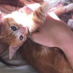 Jasper Hammond - @jasper.hammond - Instagram