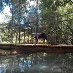 Jasper Hardy - @thescreamingoat - Instagram