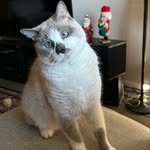 Jasper Harmon - @cutestjasper - Instagram