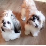 Jasper Jax & Harmony Marie - @jasperjax_harmonymarie - Instagram