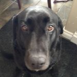 Jasper Harris - @jasper.harris8 - Instagram