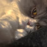 Jasper Hicks - @jinxnotreal - Instagram