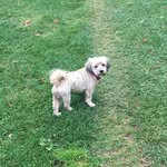Jasper - @jasper_higgins - Instagram
