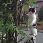 Jasper Hunt - @jasper.cat.x_ - Instagram