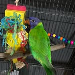Jasper Bird - @jasper._.james - Instagram
