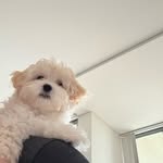 Jasper James - @jasperjames.jj - Instagram