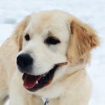 Jasper Jamison - @egrjasper - Instagram