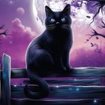 Jasper Knight - Facebook