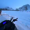 Jasper - @jasper.langley - TikTok