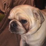 Jasper Langley - @_jasper.01_ - Instagram