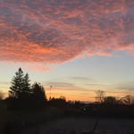 Jasper Lawson - @jasperlawson007 - Instagram