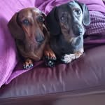 Ruth Bernard - @jasperlongweiner - Instagram