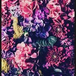 jasper lopez - @lopezjasper41 - Instagram