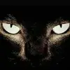 Jasper Lopez - @jasper.lopez080 - TikTok