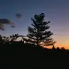 JasperLudwig - @jasperludwig09 - TikTok
