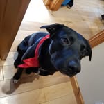 Jasper - @jasper.mackie - Instagram