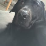 jasper - @jasper_mack123 - Instagram