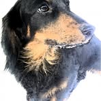 Jasper McCarty - Facebook