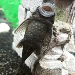 jasper mitchell - @jasper_mitchell_ - Instagram