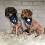 Kaitlyn Mitchell - @_myles_jasper_mitchell_ - Instagram