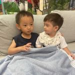 @nelson_n_jasper - Instagram