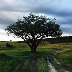 Jasper - @jaspernicholson - Instagram