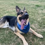 Jasper Noel Laflare - @jasper.laflare - Instagram