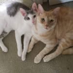 Jasper & Oliver - @jasper_and_olly - Instagram