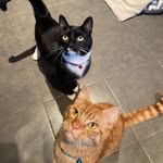 Jasper & Oliver - @jaspandoliver_ - Instagram