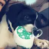 jasper_oliver - @jasper_oliver - TikTok