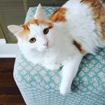 Jasper Owens - @jaspurrr1 - Instagram
