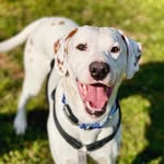 Jasper Patrick - @journeywithjasperp - Instagram