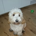 Jasper Patrick - @jasper.patrick.733 - Instagram