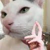 Jasper Pham - @cam23102000 - TikTok