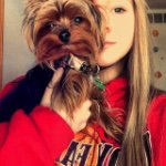 Jasper Phillips - @jasper.the.yorkie_ - Instagram