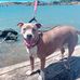 Jasper Phillips - Facebook