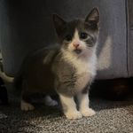 Jasper Phillips - @jaspers_adventures09 - Instagram