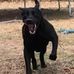 Jasper Phillips - Facebook