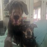Jasper // Bear - @jasper_k_pierce - Instagram