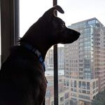 Jasper Carpenter-Pierce - @jasperthefeist - Instagram