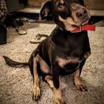 Jasper Kole Pierce - @jasperkpierce - Instagram