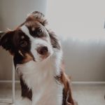 Jasper Pierce - @jasptacular - Instagram