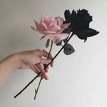 Jasper Pierce - @mccnlover - Instagram